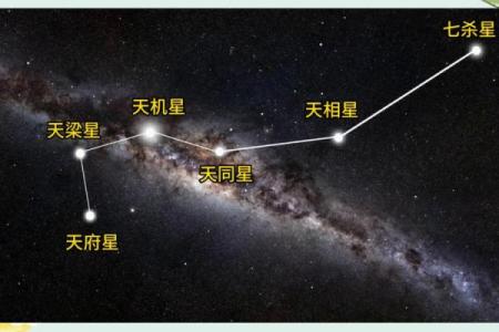 紫薇星和南斗六星