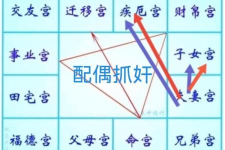 紫薇斗数生年化权入妻宫