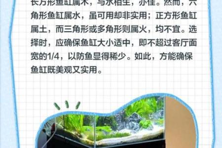 摆鱼缸的风水禁忌