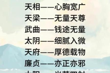 什么是紫微斗数？