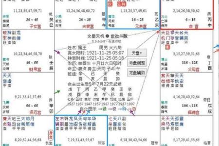 最多情的紫薇斗数