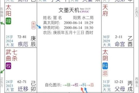 紫薇斗数四化表