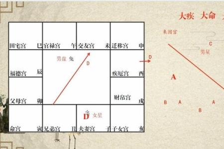 紫薇斗数看配偶姓氏
