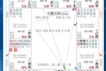 紫薇斗数冲破天罗地网