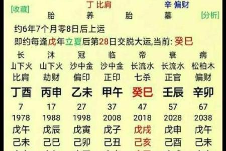 扒一扒：你该选择八字算命还是八卦预测？二者有何区别？