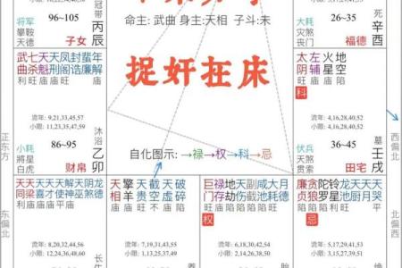 紫薇斗数好学不