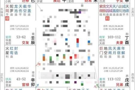 苏轼紫薇斗数