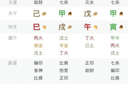 八字地支为亥的女命