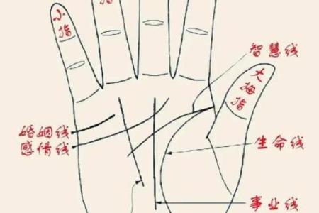 手相算命图解：3种手掌纹路看你是否能暴富，大富大贵享不尽