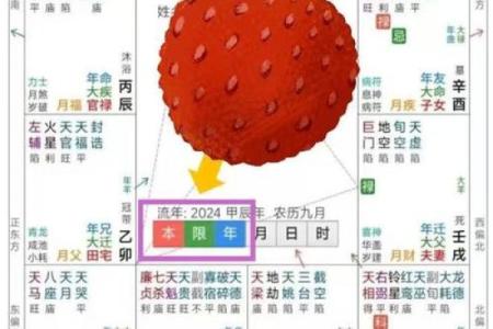 免费查紫薇星盘入宫是什么意思