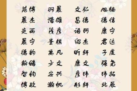 2019年4月12号丑时出生的男孩要怎么起名字姓名