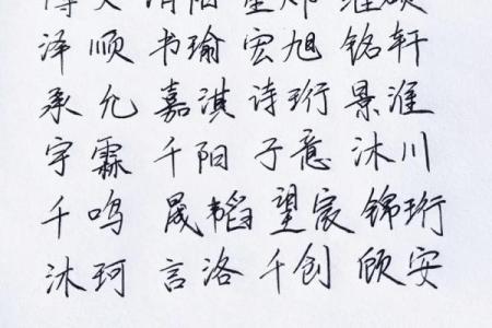 2019年3月25号巳时出生的男孩起名方法姓名