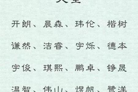 2019年5月26号子时出生的男孩应该起什么样的名字姓名