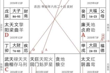 紫微斗数之疾厄宫与诸星，天机星在疾病宫是什么意思？