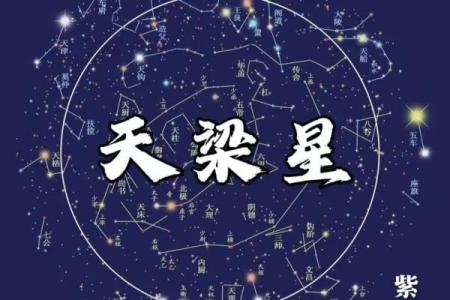紫薇斗数天贵人