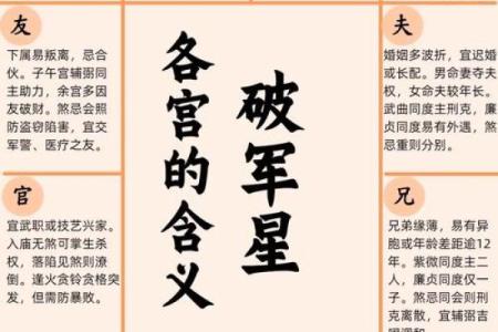 紫薇斗数工作怎么看