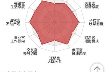 紫薇斗数身材