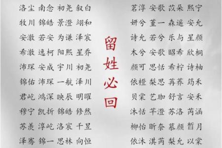 2019年3月17号未时出生的男孩应该起什么样的名字姓名