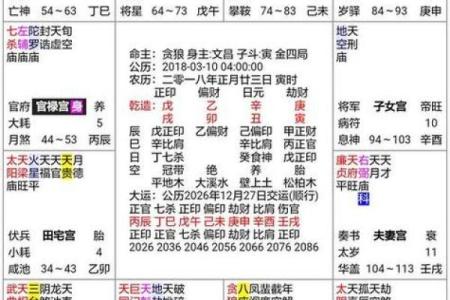 命格紫薇斗数