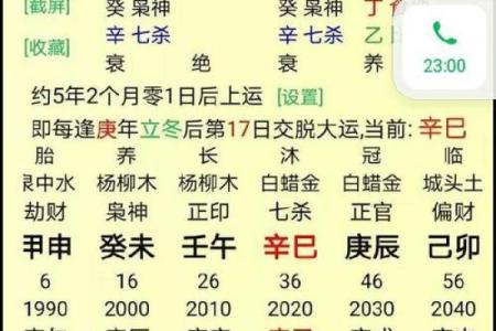 什么样的八字旺事业旺婚姻