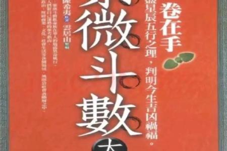 紫薇斗数传人