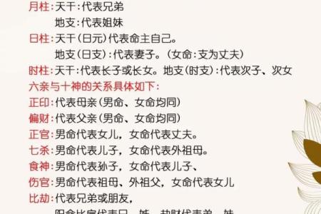 八字看住好房子的特征