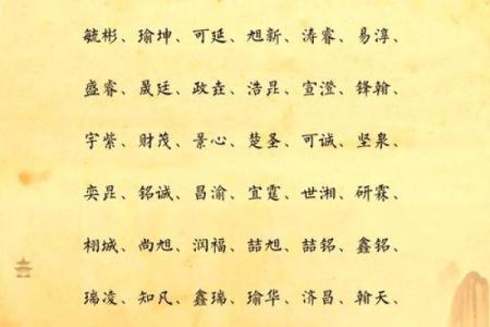 2019年3月29号亥时出生的男孩起名时要注意什么姓名