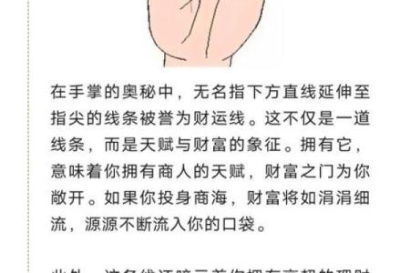手相算命图解指纹的奥秘
