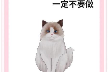 风水上哪几个生肖的人不能养猫禁忌
