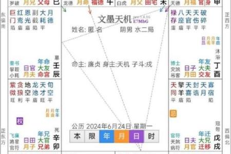 夫之迁紫薇斗数