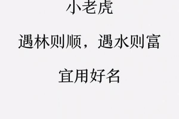 2025年廿四日辰时出生的虎宝宝八字取名推荐