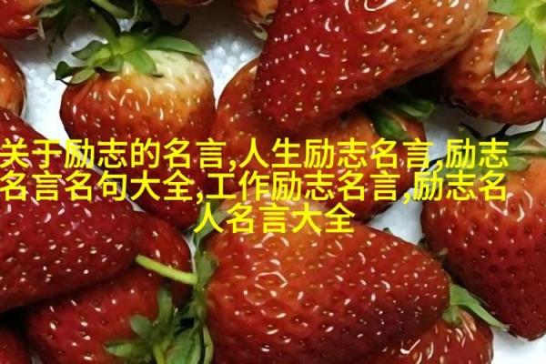 八字暖心情话