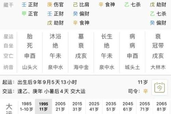 自己怎么学算命