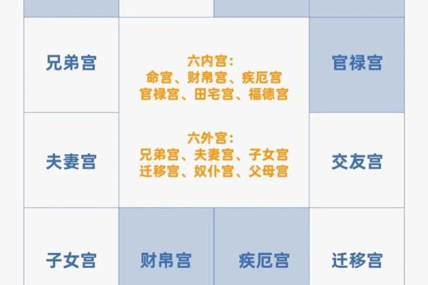 紫薇斗数的紫薇指什么