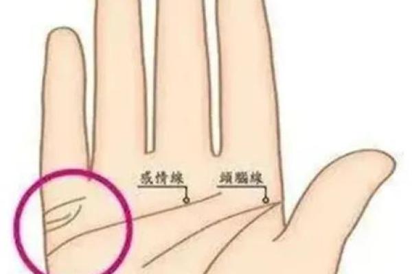 看手相算命：第二课 婚姻感情