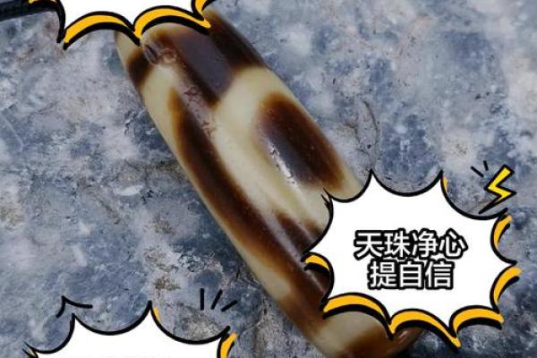 戴天珠的风水