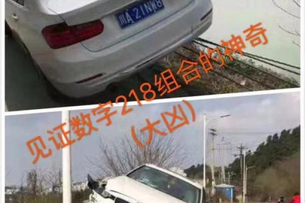 三藏车牌号码吉凶测试