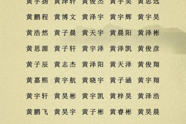 2019年6月28号子时出生的男孩如何起名姓名