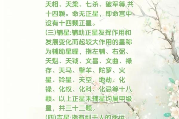 怎么理解紫薇斗数