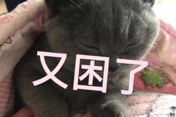 算命大师说减肥