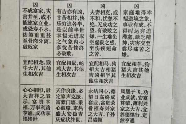 算命2009免费下载