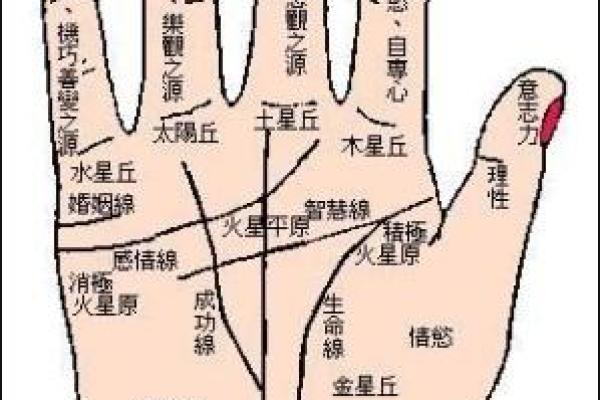 从手相和八字命理解读恋母情节