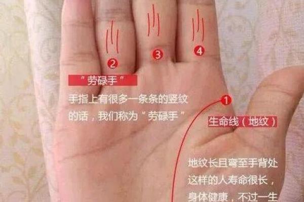 从手相和八字命理解读恋母情节