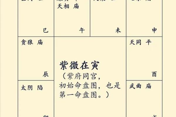 紫微斗数算命详解 紫微斗数测算命运？