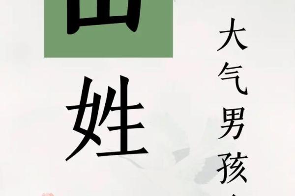 2019年3月26号亥时出生的男孩要怎么起名字姓名