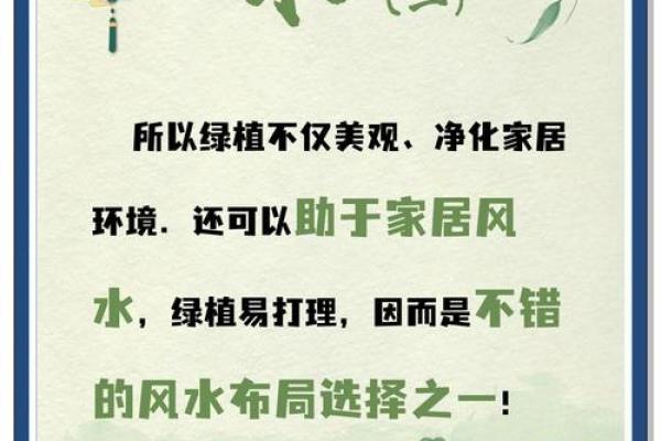 女孩缺木缺水取名宝典,八字看下半年运势