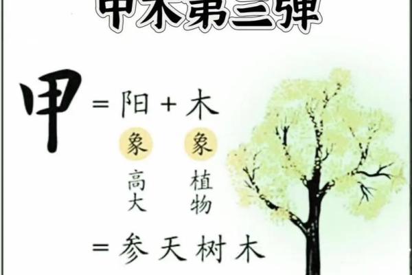 算命说的甲木命是什么