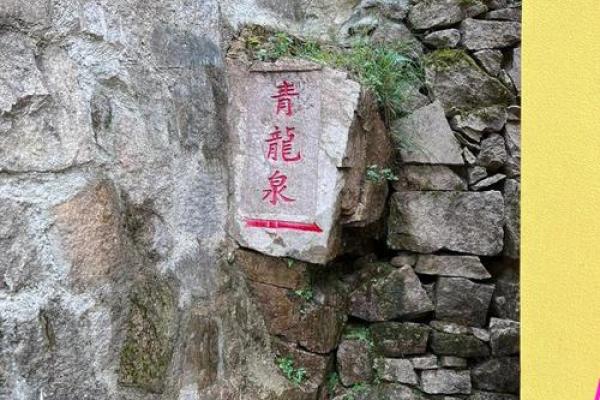 青龙灵签