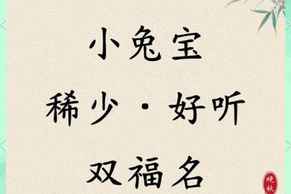 11月份出生的属兔男孩应如何取名字姓名