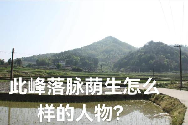 立丁山桂风水